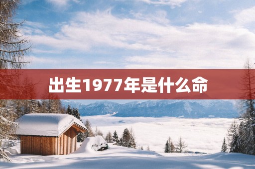出生1977年是什么命