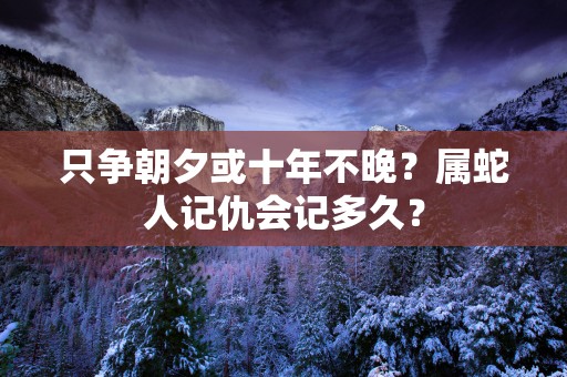 只争朝夕或十年不晚？属蛇人记仇会记多久？