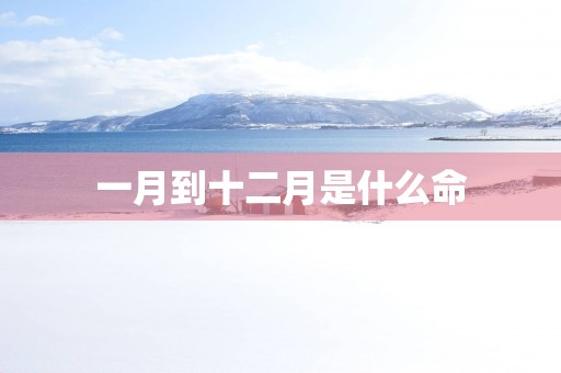 一月到十二月是什么命