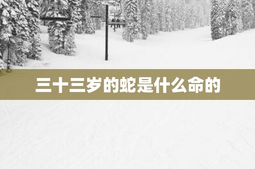 三十三岁的蛇是什么命的