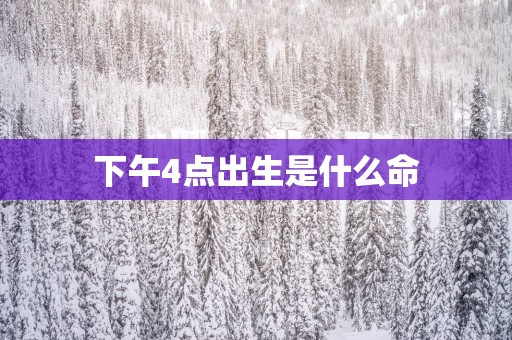 下午4点出生是什么命