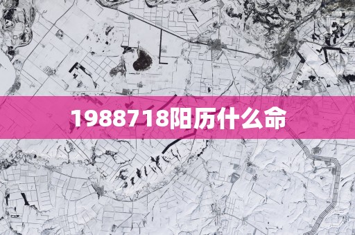 1988718阳历什么命