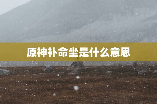 原神补命坐是什么意思