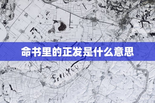 命书里的正发是什么意思