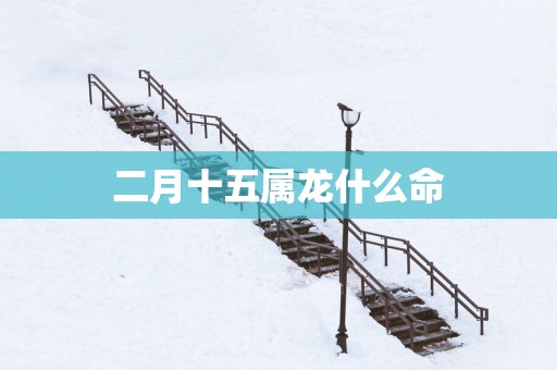 二月十五属龙什么命