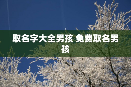 取名字大全男孩 免费取名男孩