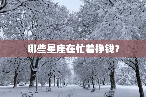 哪些星座在忙着挣钱？