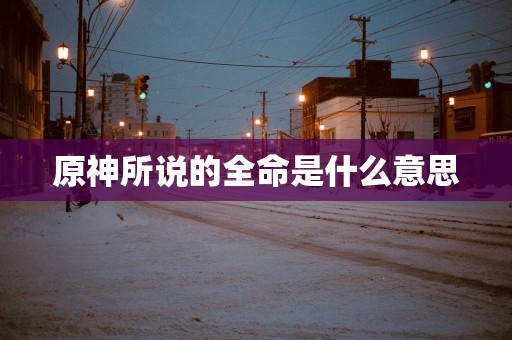 原神所说的全命是什么意思