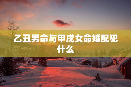 乙丑男命与甲戌女命婚配犯什么