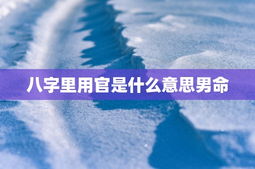 八字里用官是什么意思男命