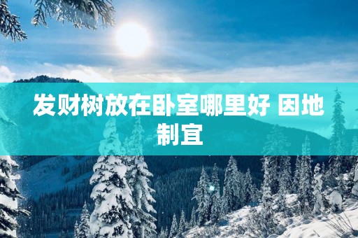 发财树放在卧室哪里好 因地制宜