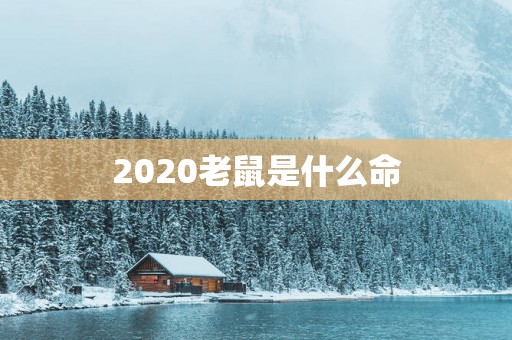 2025老鼠是什么命