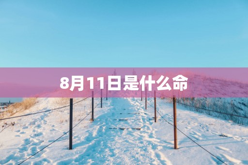 8月11日是什么命