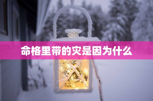 命格里带的灾是因为什么