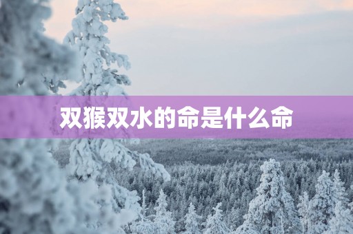 双猴双水的命是什么命