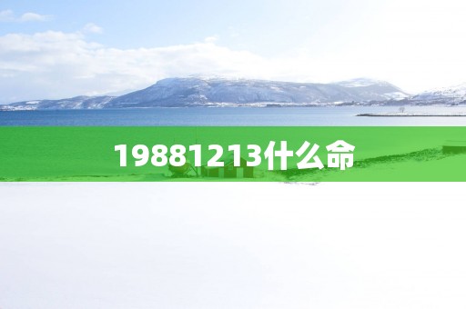 19881213什么命