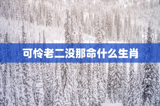 可怜老二没那命什么生肖