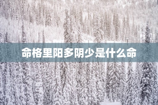 命格里阳多阴少是什么命