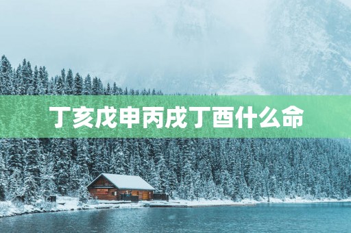 丁亥戊申丙戌丁酉什么命
