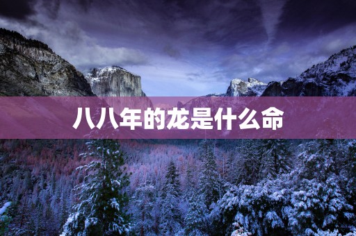 八八年的龙是什么命