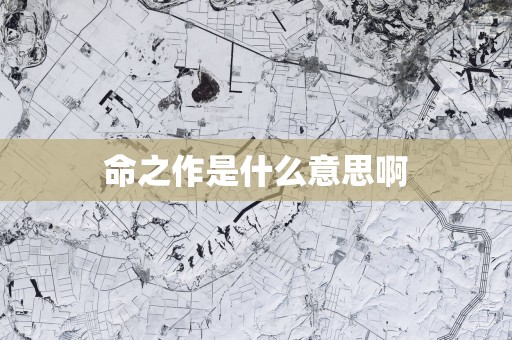 命之作是什么意思啊
