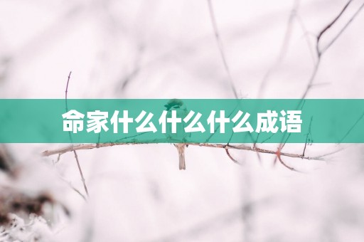 命家什么什么什么成语