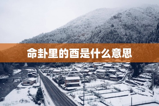 命卦里的酉是什么意思