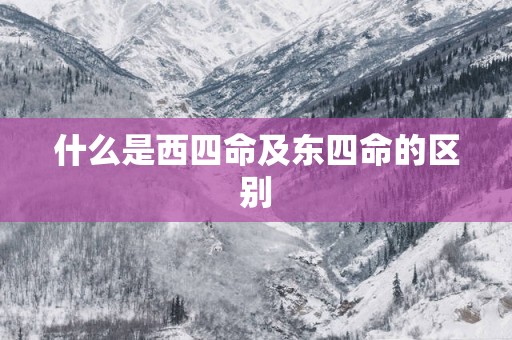 什么是西四命及东四命的区别