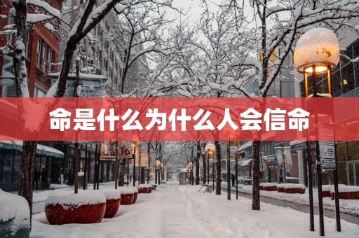 命是什么为什么人会信命