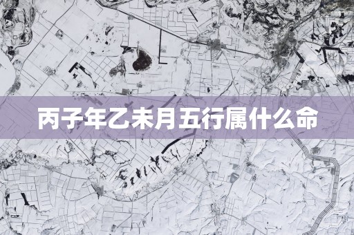 丙子年乙未月五行属什么命