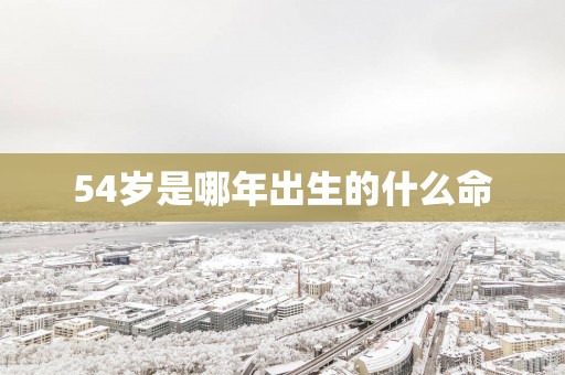 54岁是哪年出生的什么命