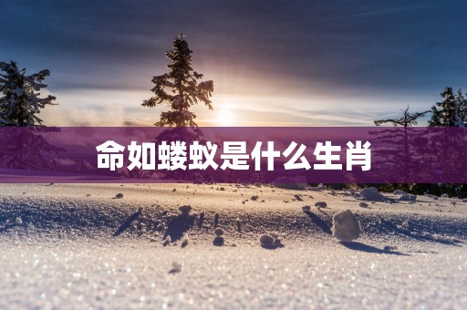 命如蝼蚁是什么生肖