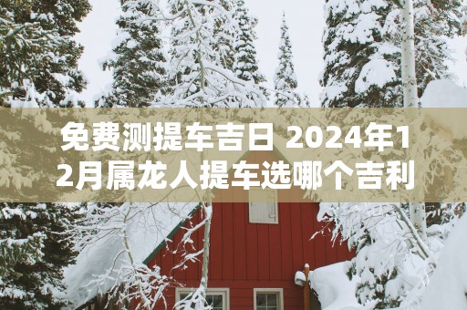 免费测提车吉日 2024年12月属龙人提车选哪个吉利日子