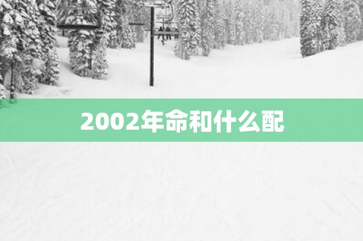 2002年命和什么配