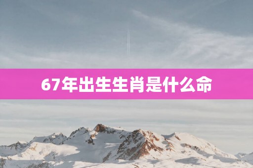 67年出生生肖是什么命