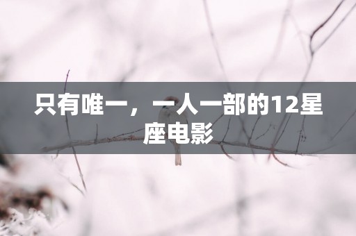 只有唯一，一人一部的12星座电影