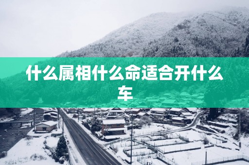 什么属相什么命适合开什么车