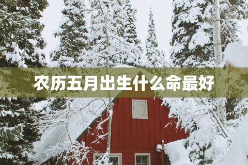 农历五月出生什么命最好
