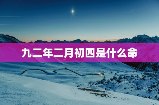 九二年二月初四是什么命