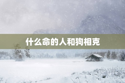 什么命的人和狗相克