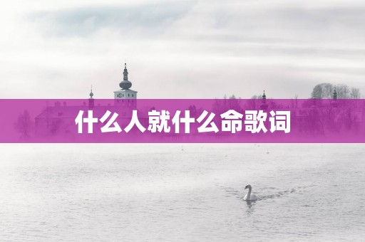 什么人就什么命歌词