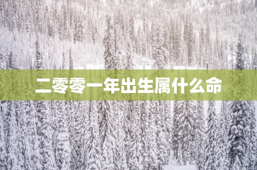 二零零一年出生属什么命