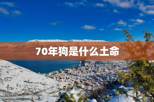 70年狗是什么土命
