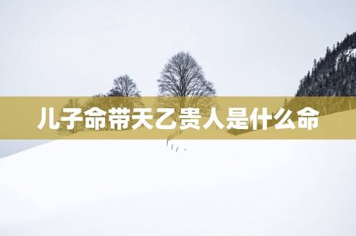 儿子命带天乙贵人是什么命