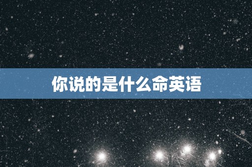 你说的是什么命英语