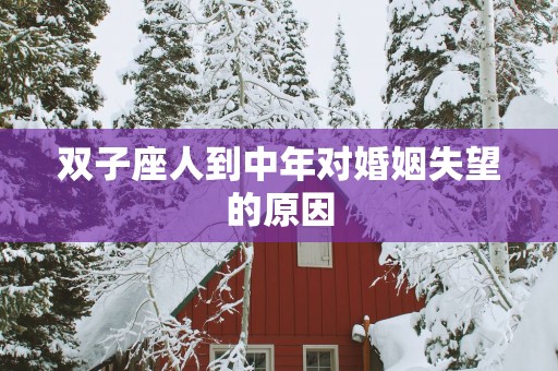 双子座人到中年对婚姻失望的原因