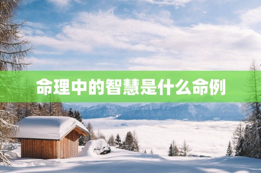命理中的智慧是什么命例