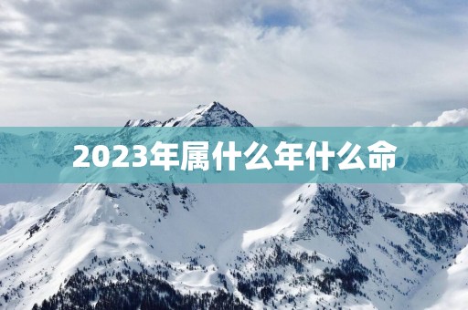 2025年属什么年什么命