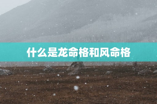 什么是龙命格和风命格