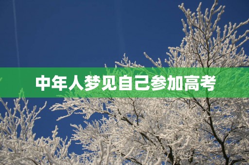 中年人梦见自己参加高考